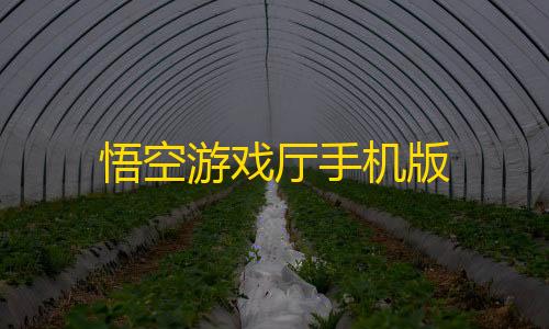 刷刀体质(免费)韭菜天气预报